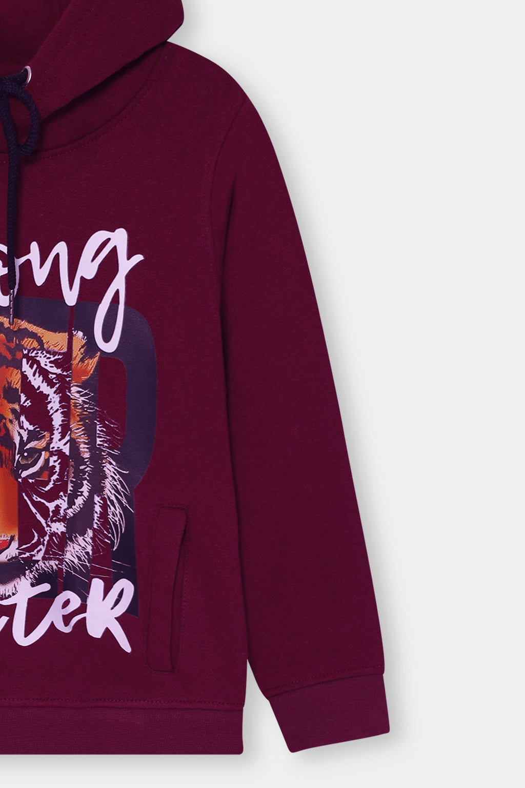 Boys Lion Printed Hoodie