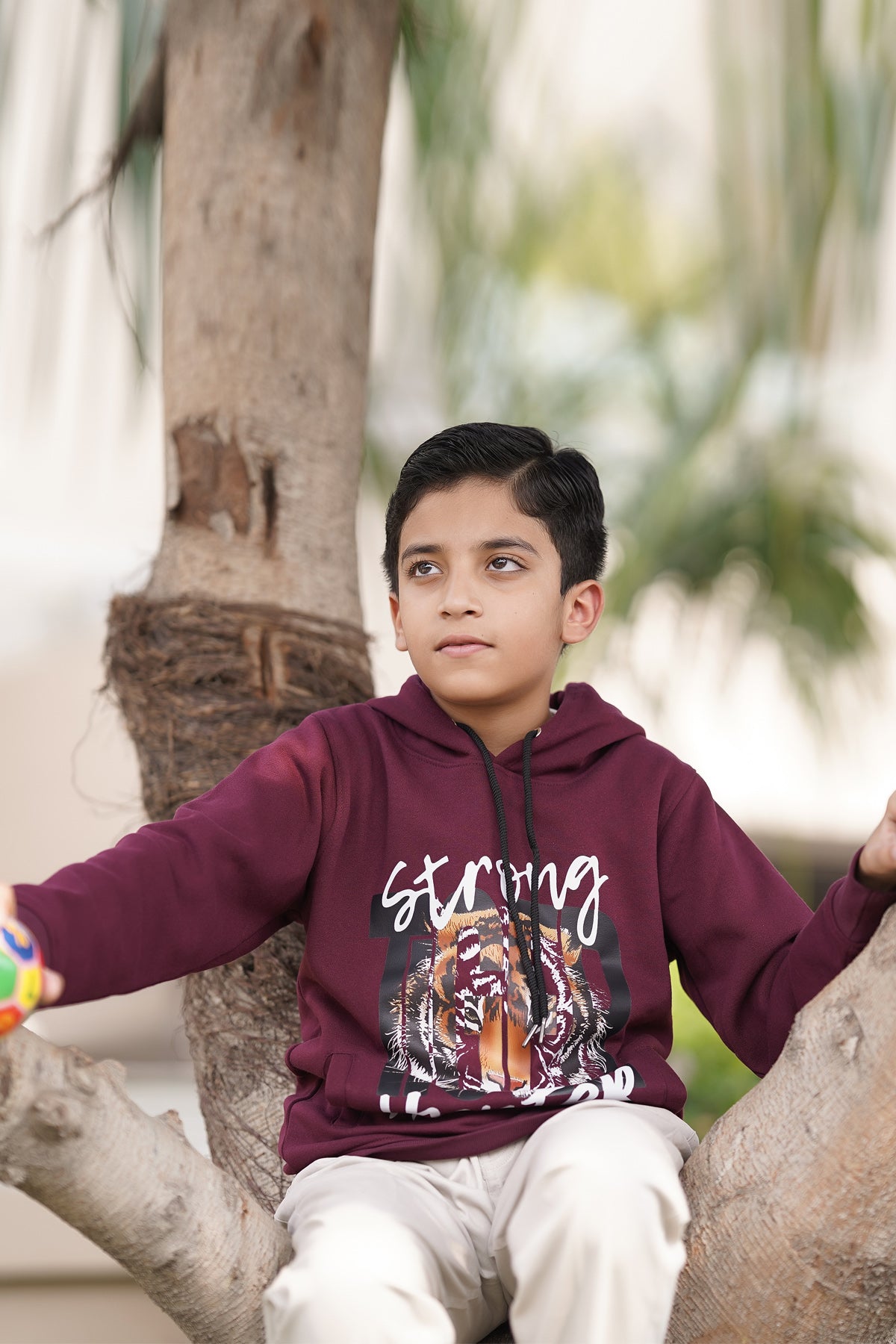 Buy Boys Lion Printed Hoodie